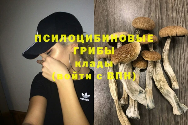 хмурый Балахна