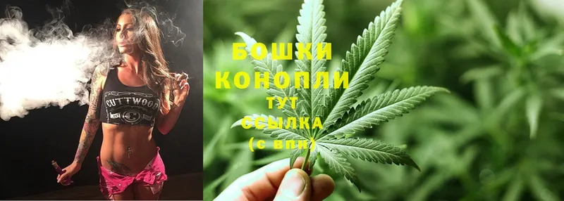 наркота  Вяземский  hydra как зайти  Канабис White Widow 